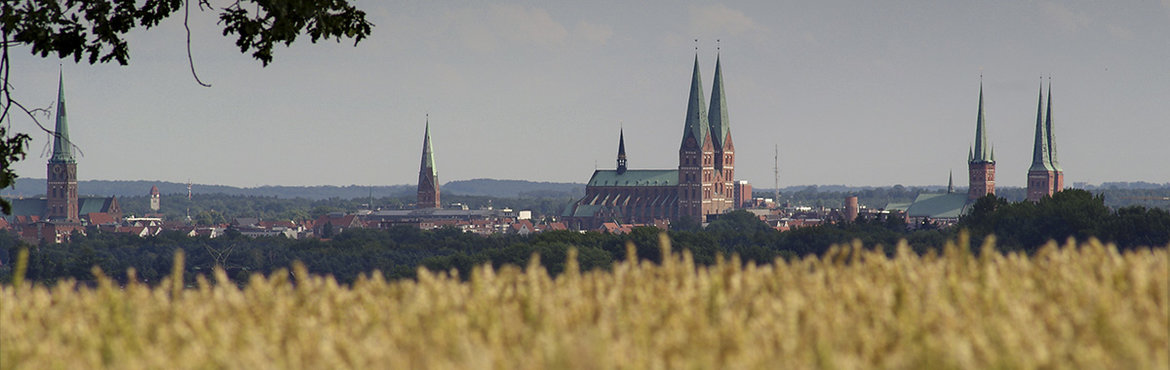 Die Sieben Türme Lübecks - Im Vordergrund ein gelbes Rapsfeld